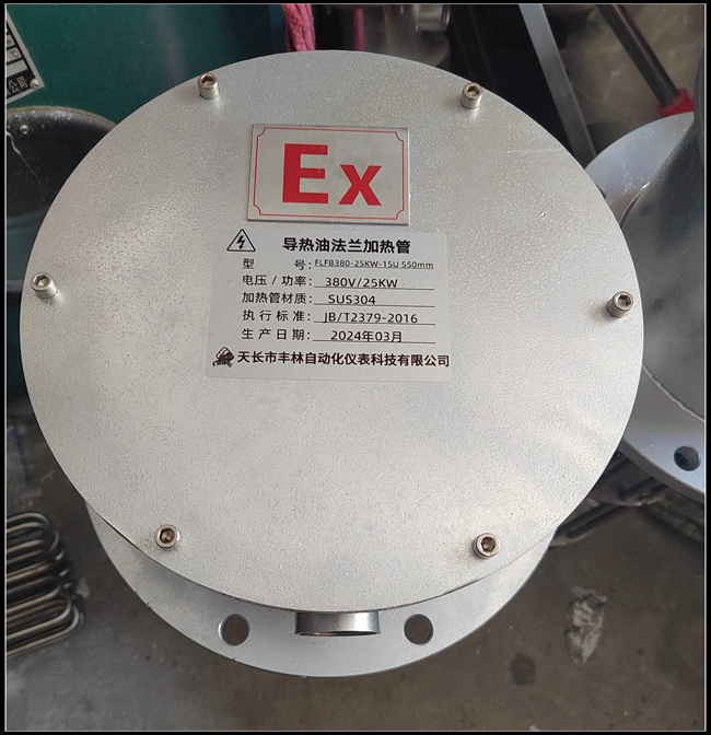 防爆導(dǎo)熱油加熱管